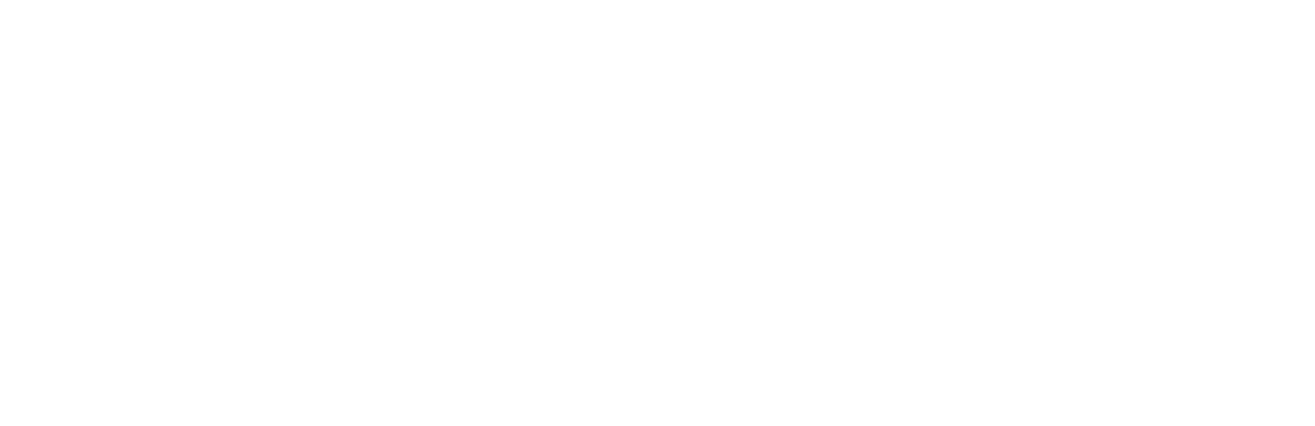 APC-Horizontal-Logo-White